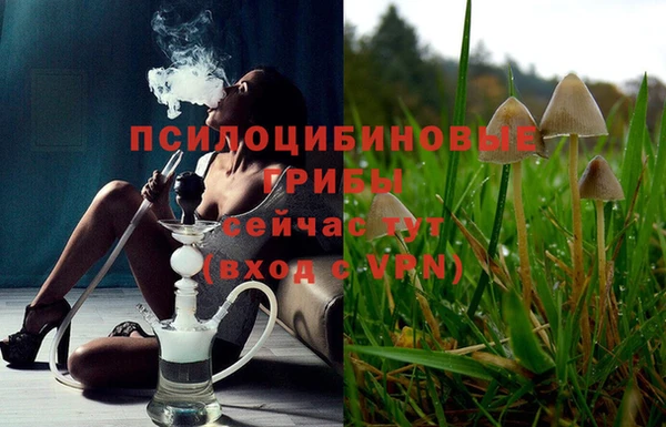 амфетамин Алексин
